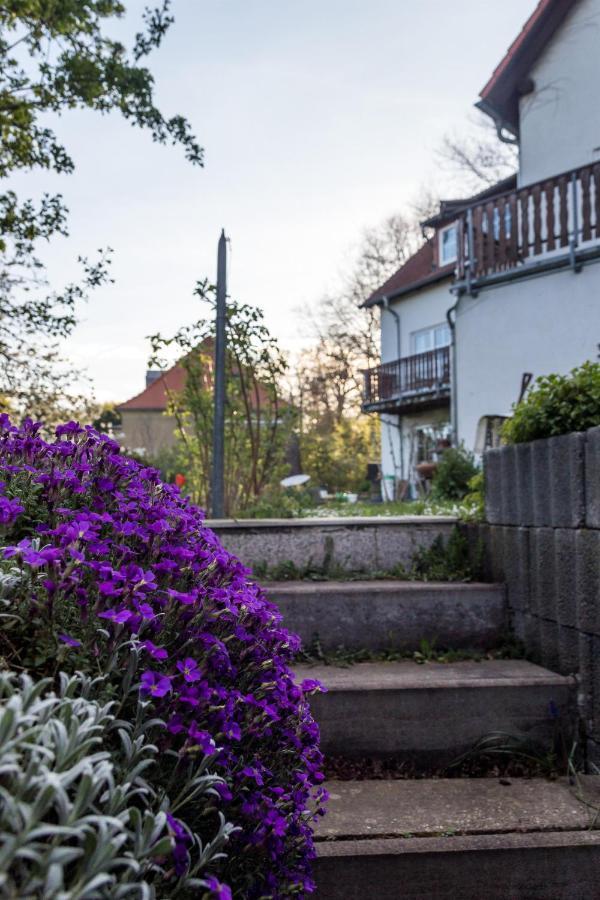 Gaestehaus Bechtloff ไมเซน ภายนอก รูปภาพ